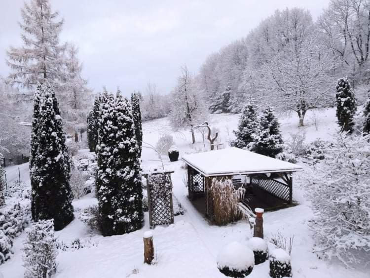 "Agroturystyka Pod Magnolia" Rybnica 33 Exteriör bild